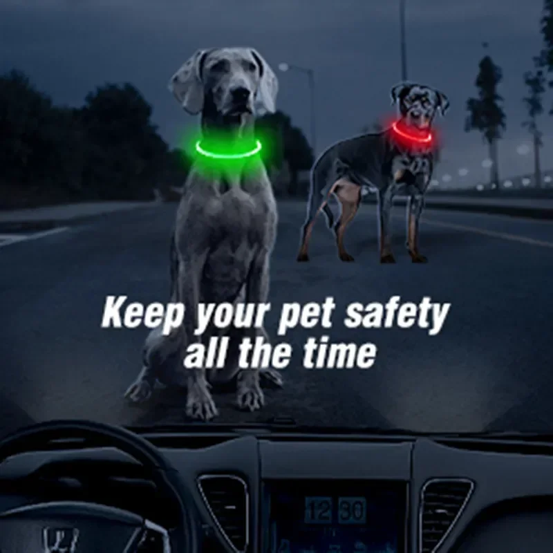 Led Light Dog Collar Detachabl - Men'S Grooming Products review and price